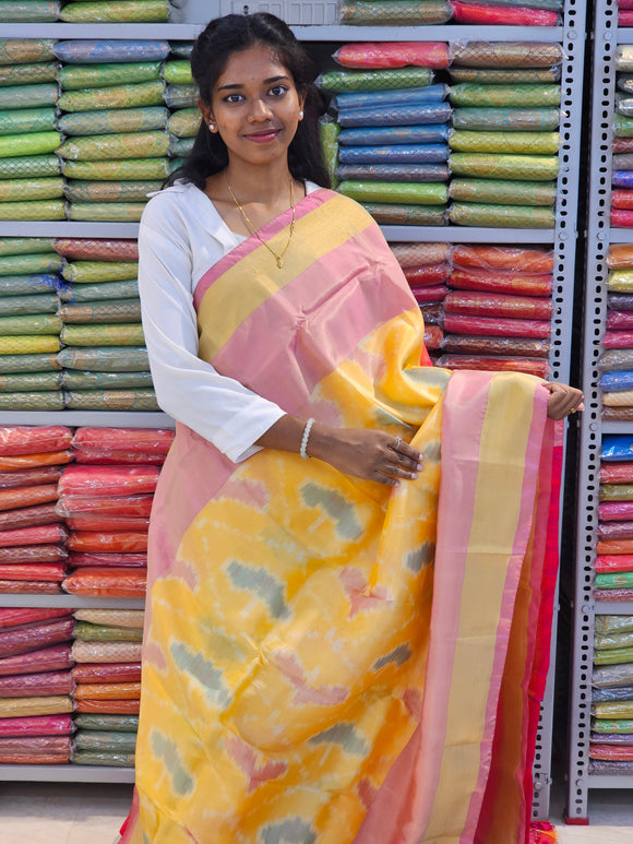 Kanchipuram Blended Pochampally Silk Sarees 048