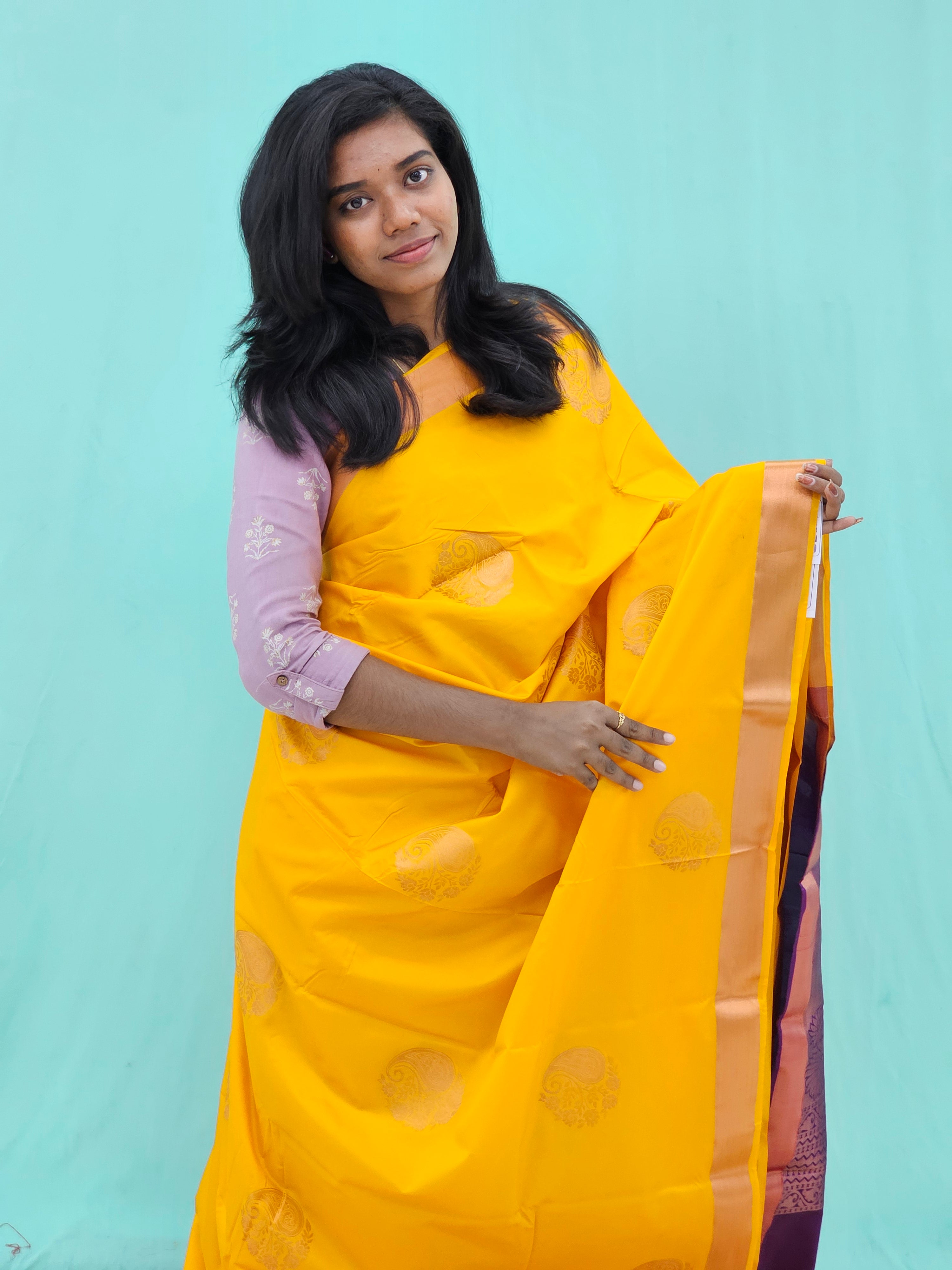 Kanchipuram Blended Trending Silk Saree 163