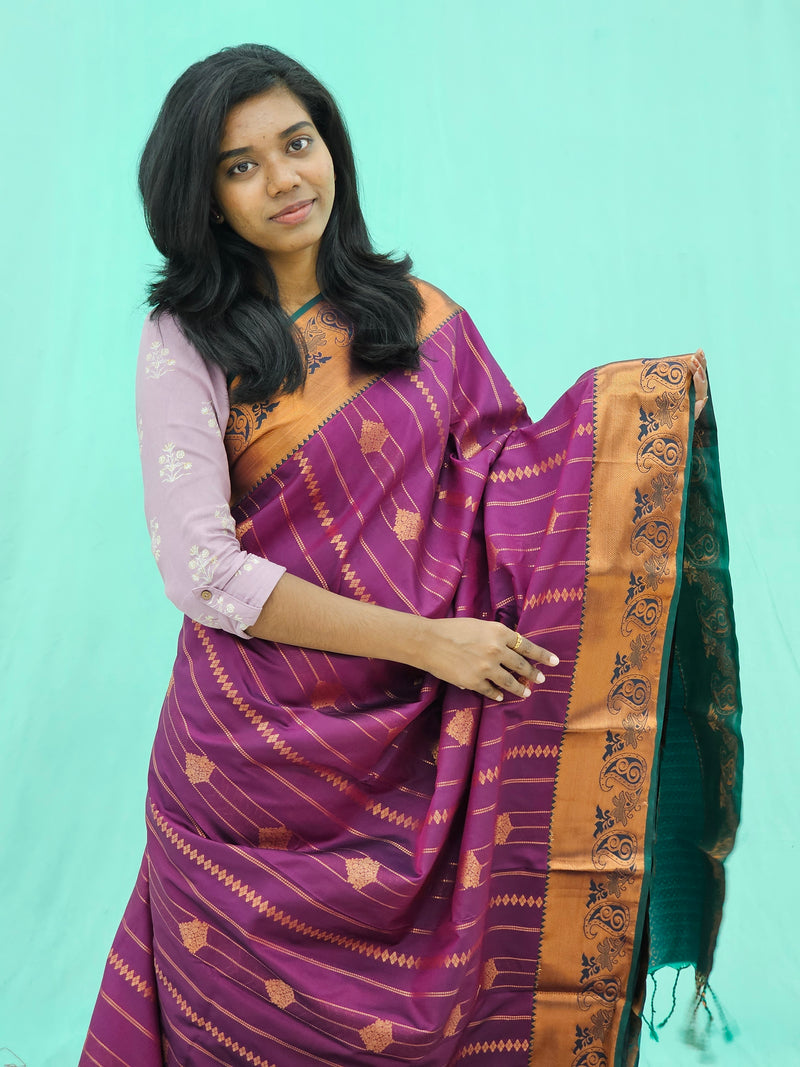 Kanchipuram Blended Trending Silk Saree 166
