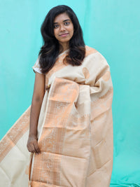 Kanchipuram Pure Fancy Silk Saree 001