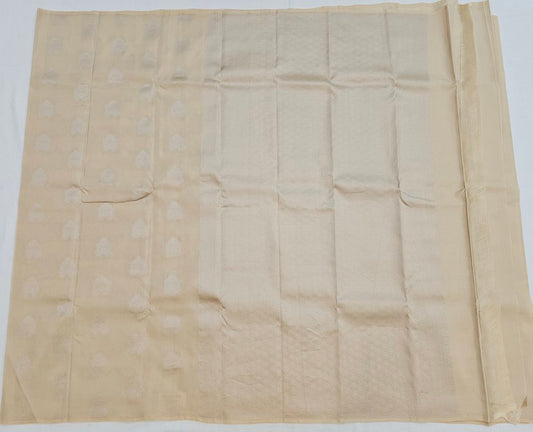 Exclusive Pure Kanchipuram Fancy Borderless Soft Silksarees 005
