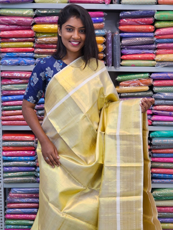 Kanchipuram Pure Handloom Tissue Silk Sarees 005