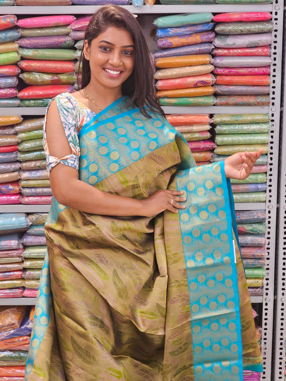 Kanchipuram Pure Fancy Silk Sarees 204