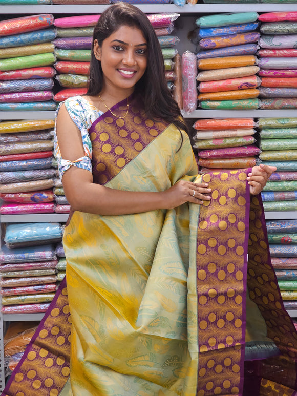 Kanchipuram Pure Fancy Silk Sarees 198