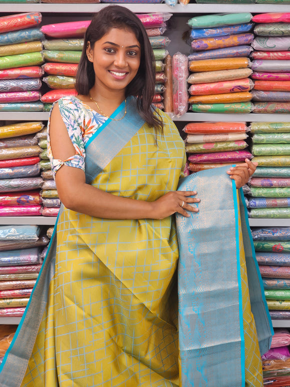 Kanchipuram Pure Fancy Silk Sarees 218
