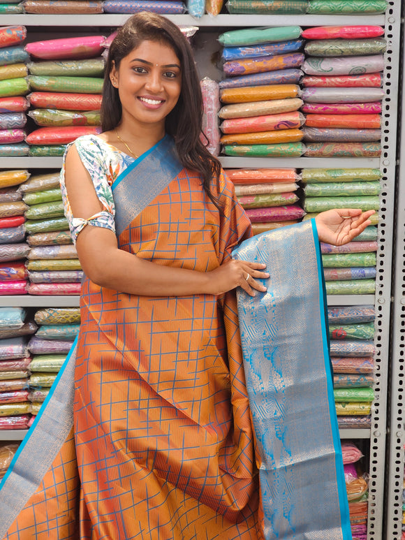 Kanchipuram Pure Fancy Silk Sarees 213