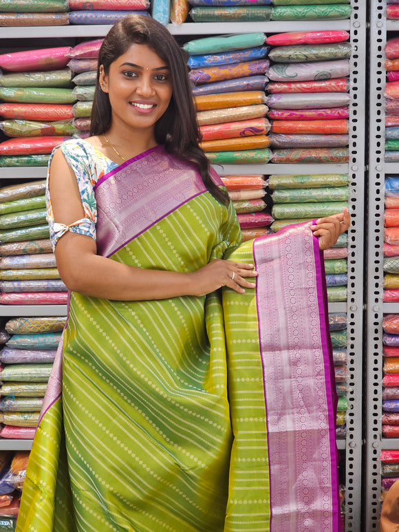Kanchipuram Pure Fancy Silk Sarees 248
