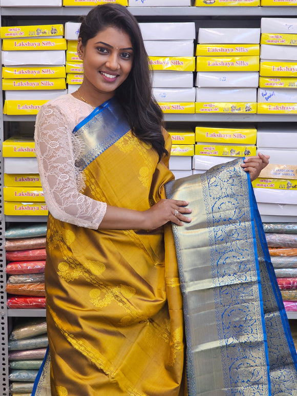 Kanchipuram Pure Fancy Silk Sarees 240
