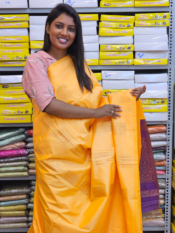 Kanchipuram Blended Fancy Soft Silk Sarees 042