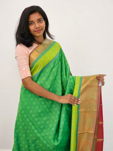 Kanchipuram Blended Gifted Silk Sarees 163