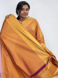 Kanchipuram Blended Mini Fancy Silk Sarees 870