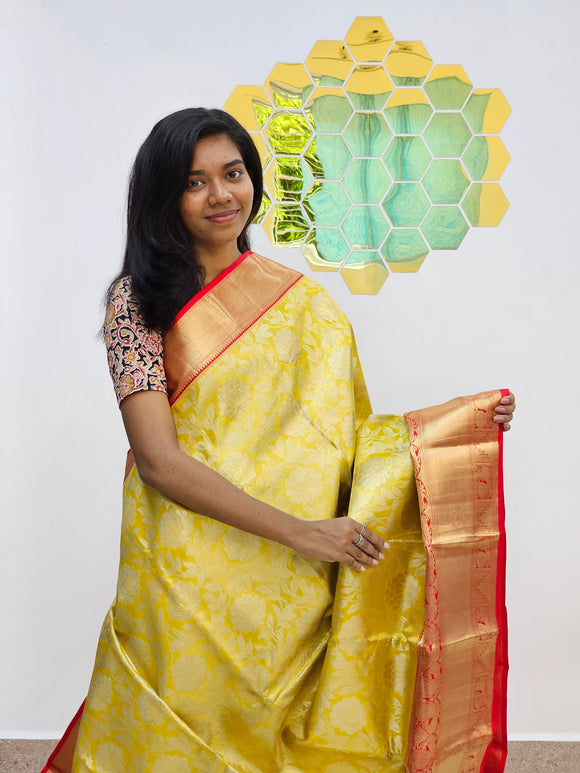 Kanchipuram Pure Handloom Tissue Silk Sarees 017