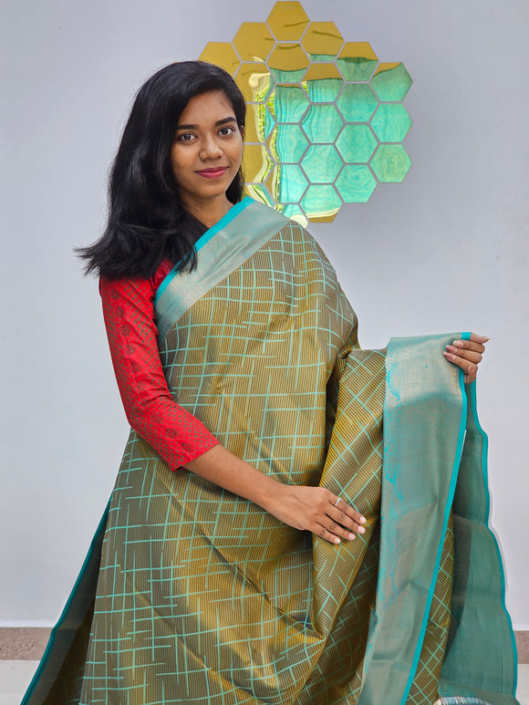 Kanchipuram Pure Fancy Silk Sarees 028