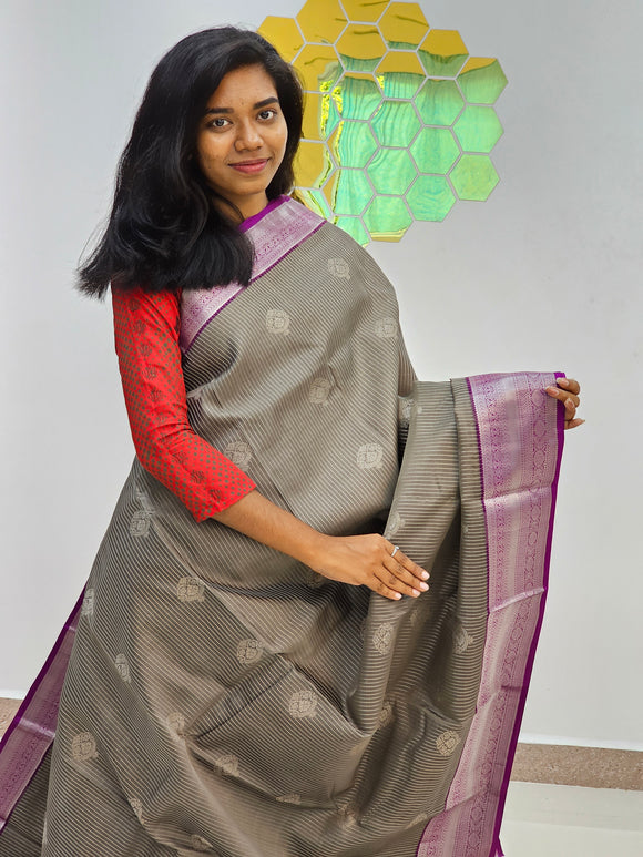 Kanchipuram Pure Fancy Silver Silk Sarees 042