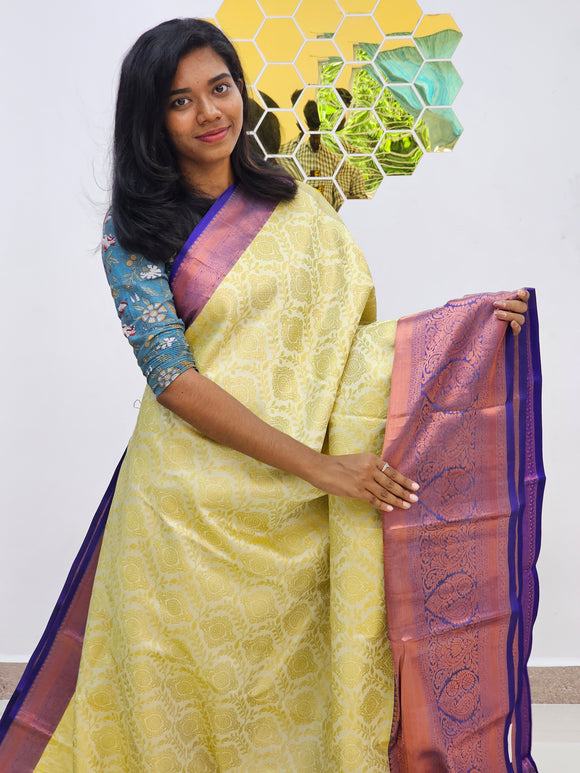 Kanchipuram Blended Bridal Silk Saree 019