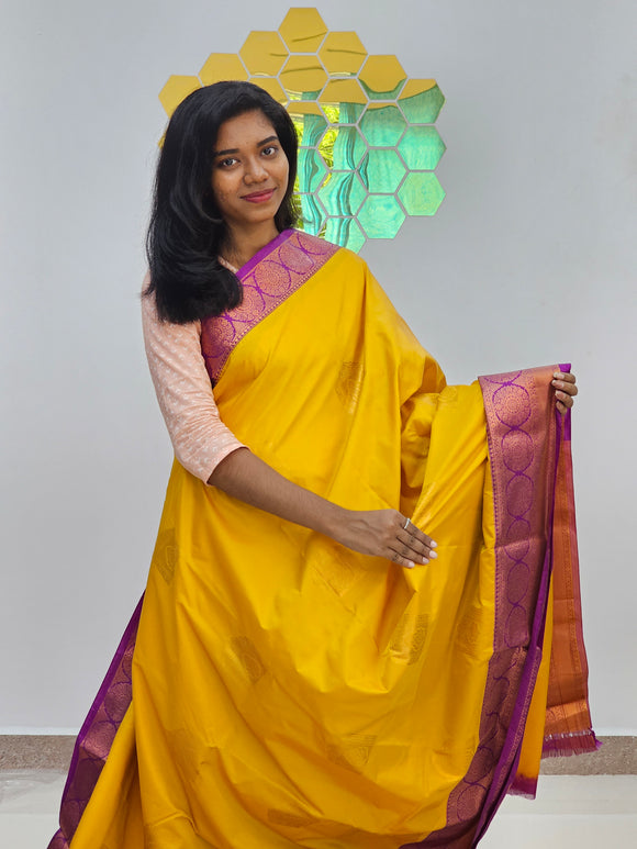 Kanchipuram Blended Tissue Silk Sarees 014