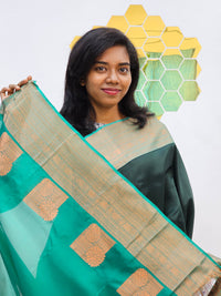 Kanchipuram Blended Elegant Silk Saree 034