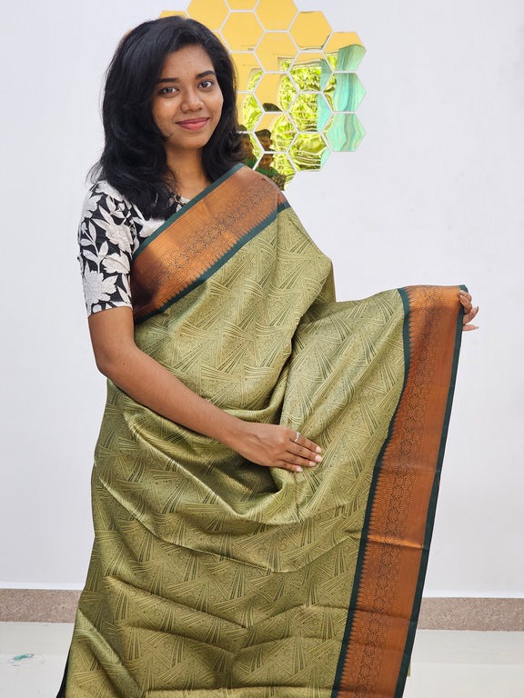 Kanchipuram Blended Gifted Tissue silk Saree 017