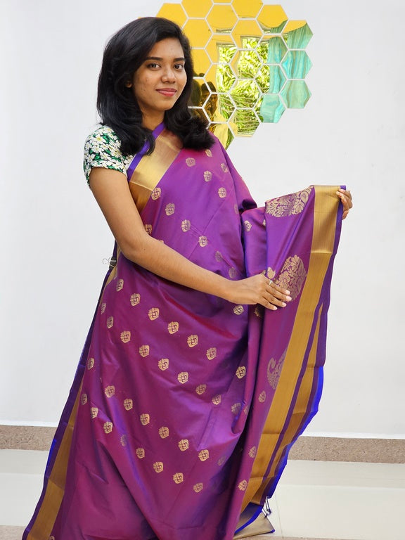 Kanchipuram Blended Fancy Silk Saree 1045