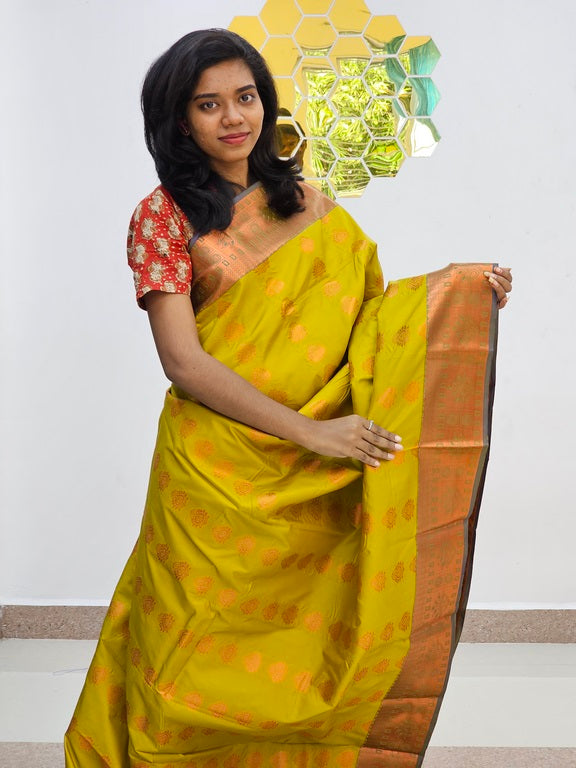 Kanchipuram Blended Fancy Silk Saree 1070