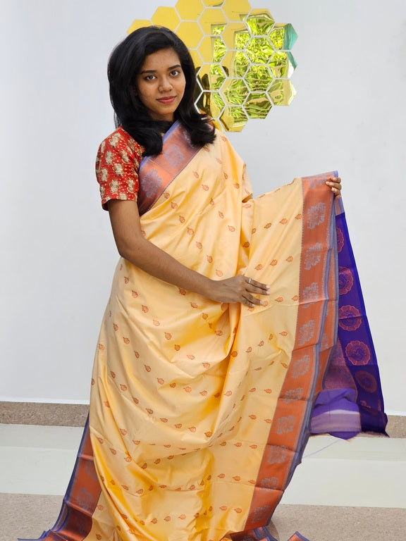 Kanchipuram Blended Fancy Silk Saree 1080