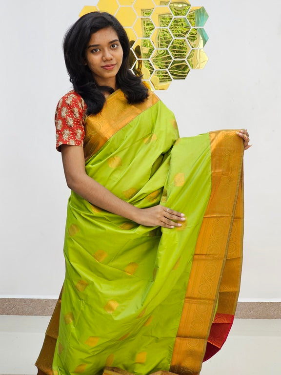 Kanchipuram Blended Fancy Silk Saree 1095