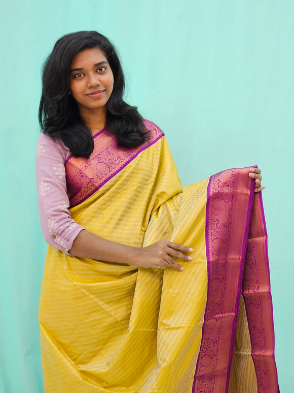 Kanchipuram Blended Fancy Korvai Silk Saree 1248