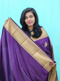 Kanchipuram Blended Mini Fancy Silk Saree 1007