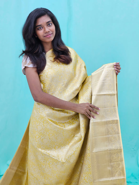 Kanchipuram Pure Tissue Silk Saree 005