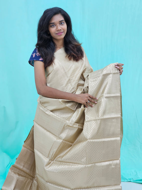 Kanchipuram Blended Self Tissue Silk Saree 008