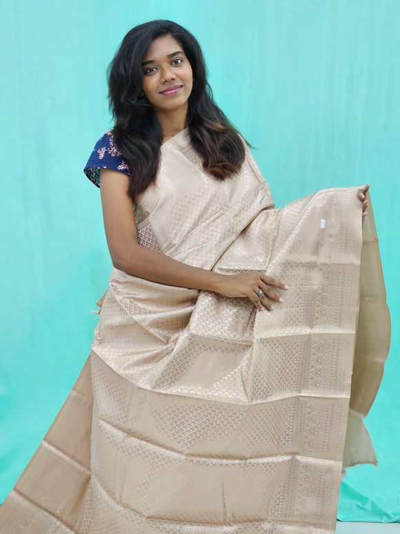 Kanchipuram Blended Self Tissue Silk Saree 013
