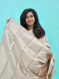 Kanchipuram Blended Self Tissue Silk Saree 013