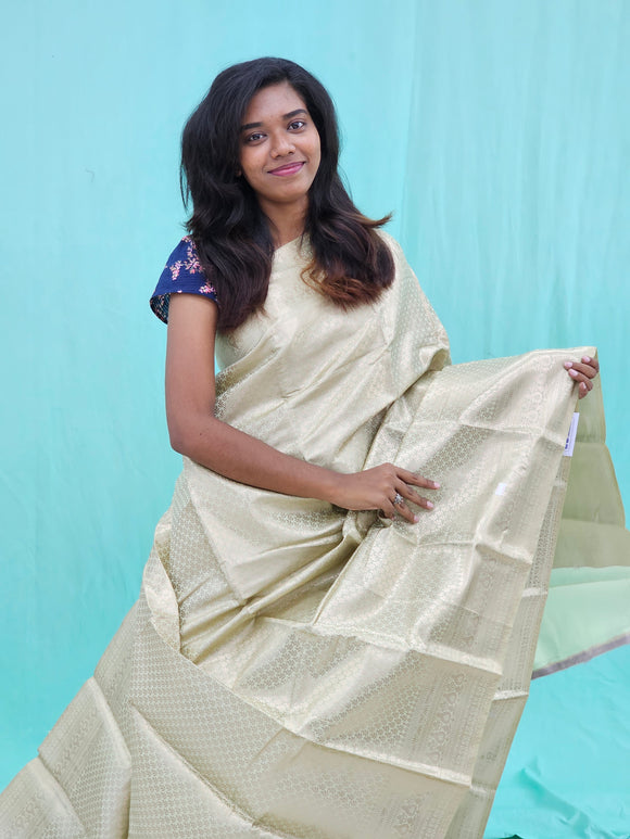 Kanchipuram Blended Self Tissue Silk Saree 016