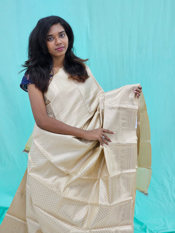 Kanchipuram Blended Self Tissue Silk Saree 019