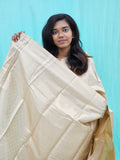 Kanchipuram Blended Self Tissue Silk Saree 019