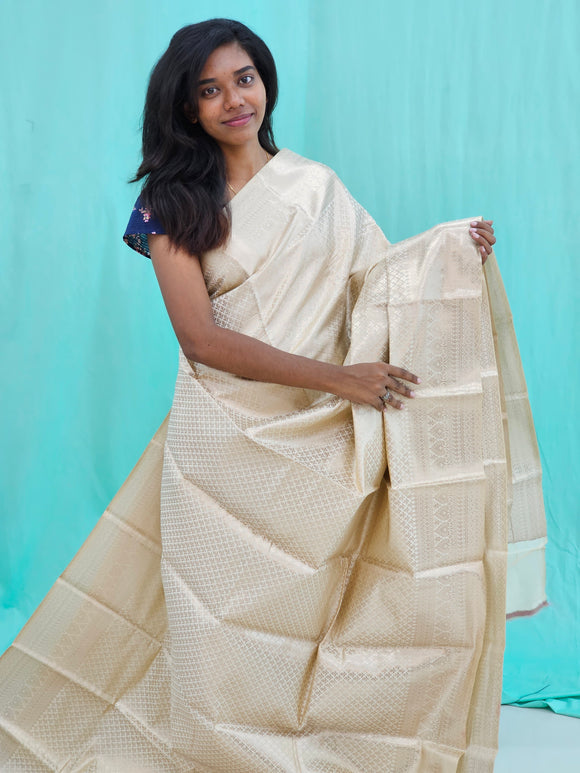 Kanchipuram Blended Self Tissue Silk Saree 029