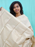 Kanchipuram Blended Self Tissue Silk Saree 029