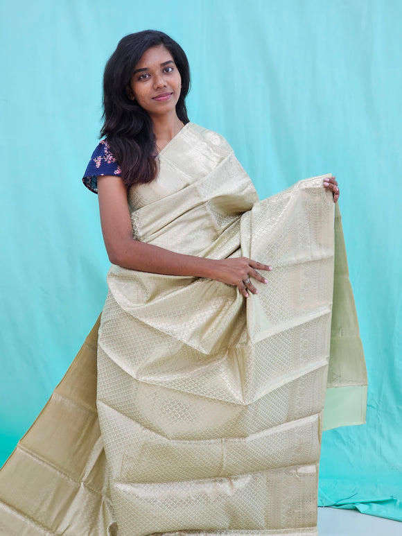 Kanchipuram Blended Self Tissue Silk Saree 031
