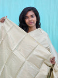 Kanchipuram Blended Self Tissue Silk Saree 031