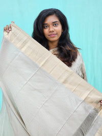 Kanchipuram Pure Self Fancy Silk Saree 004