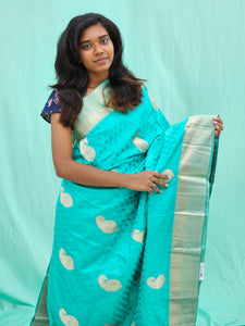 Kanchipuram Pure Self Fancy Silk Saree 005