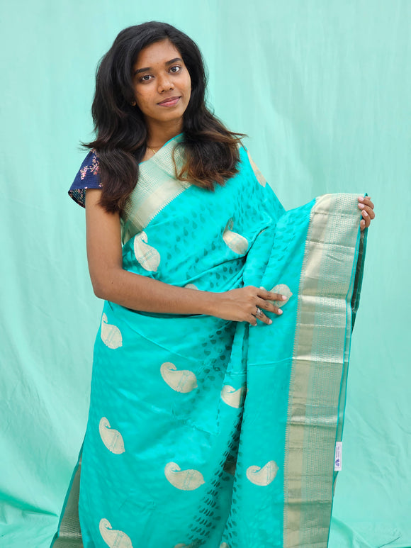 Kanchipuram Pure Self Fancy Silk Saree 005