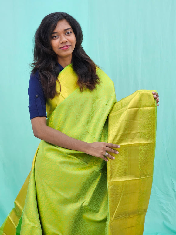 Kanchipuram Pure Bridal Silk Saree 005