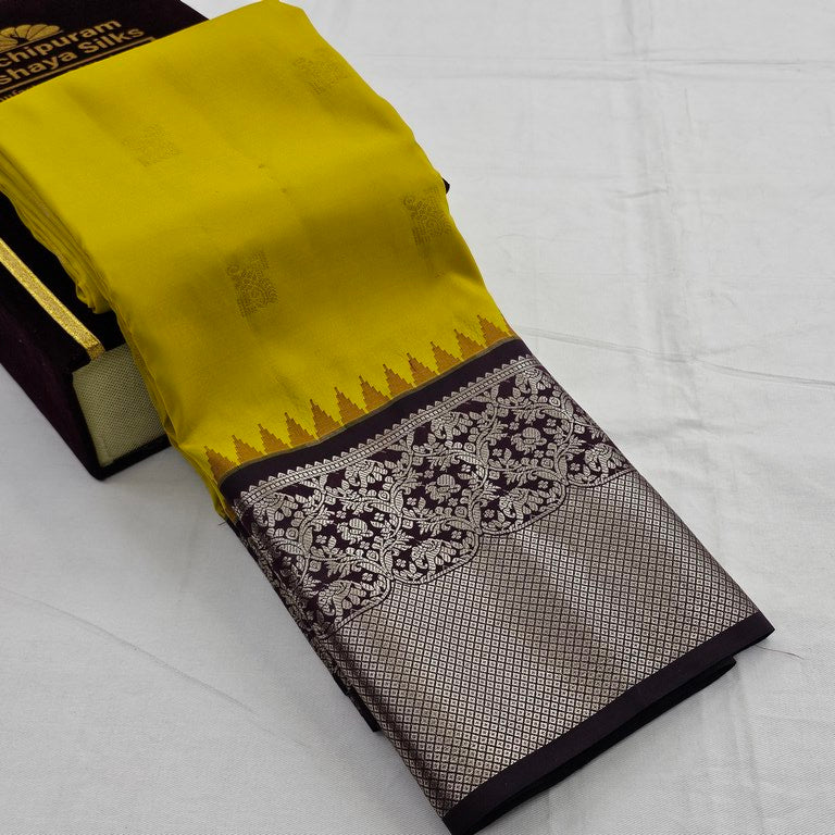 Kanchipuram Pure Fancy Soft Silk Saree 050