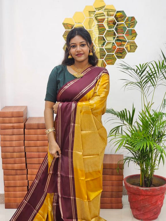 Kanchipuram Blended Soft Silk Saree 674