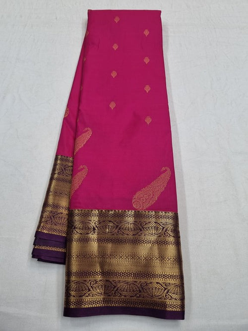 Elegant Blended Fancy Silk Sarees 166 – Kanchipuram Lakshaya Silks