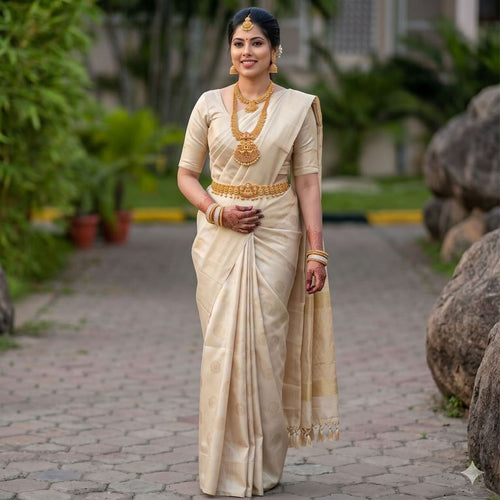 Exclusive Pure Kanchipuram Fancy Borderless Soft Silksarees 005