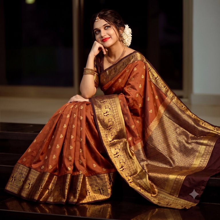 Trendy Vintage Rusted Orange Silksarees 013