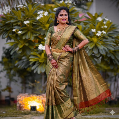 Kanchipuram Pure Fancy Self SilkSarees 007