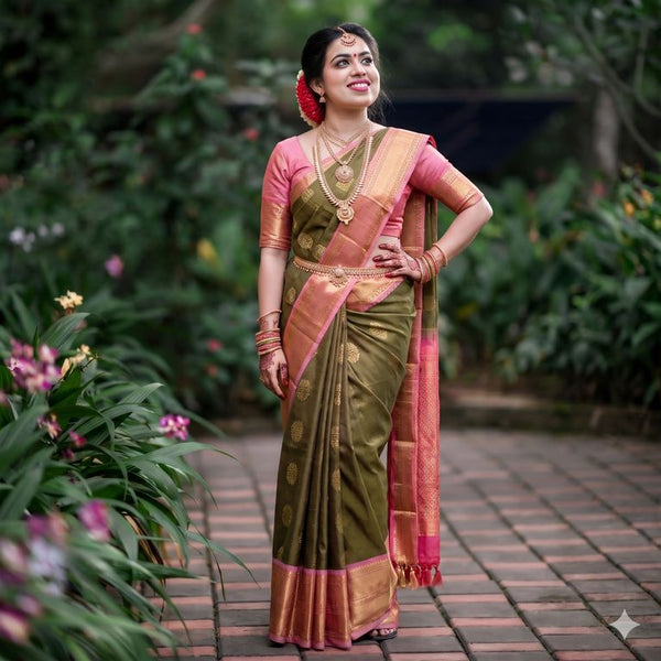 Kanchipuram Pure Fancy Korvai SilkSarees 006